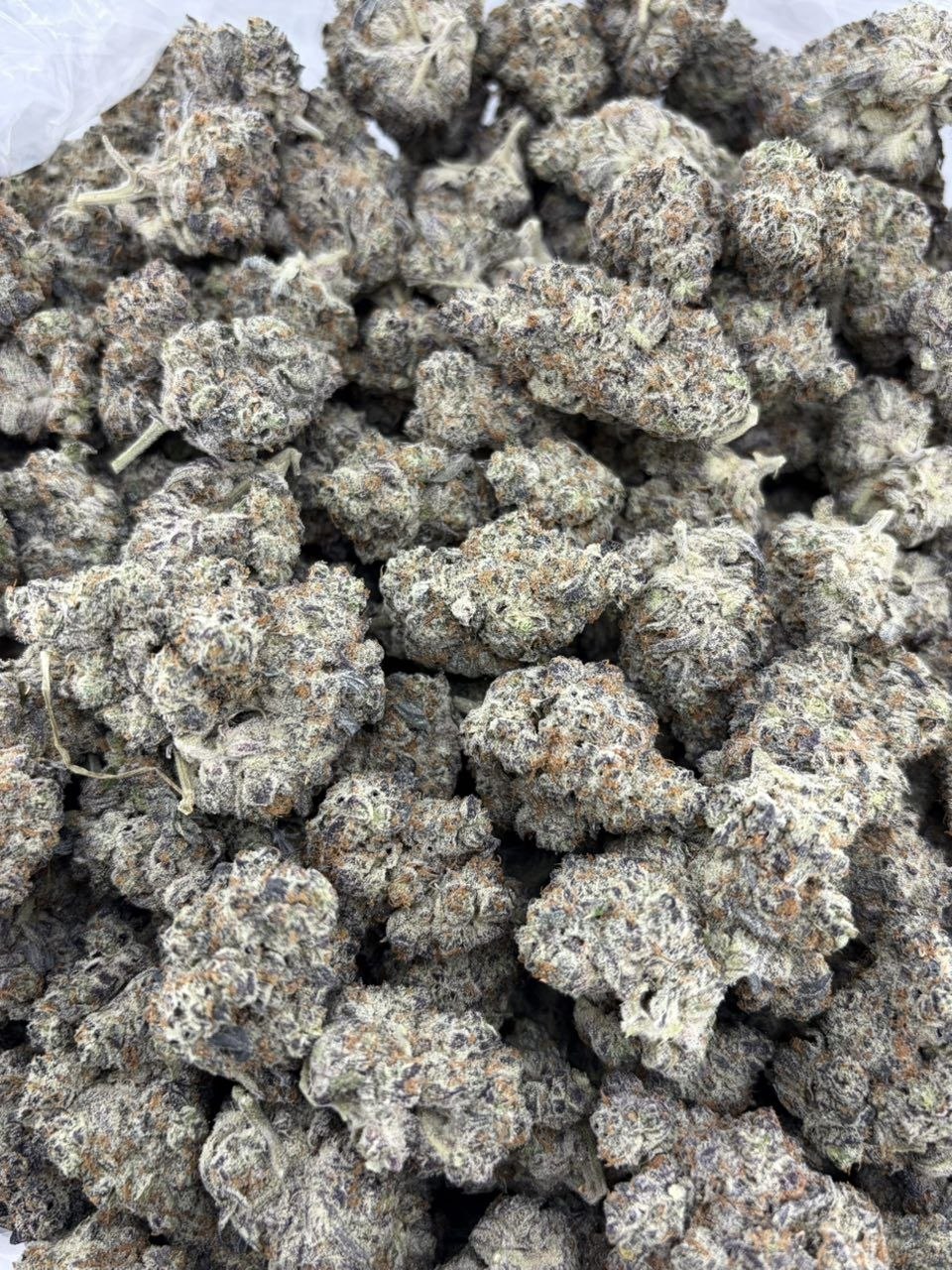 COOKIE CRISP INDOORS 🍪 view 2