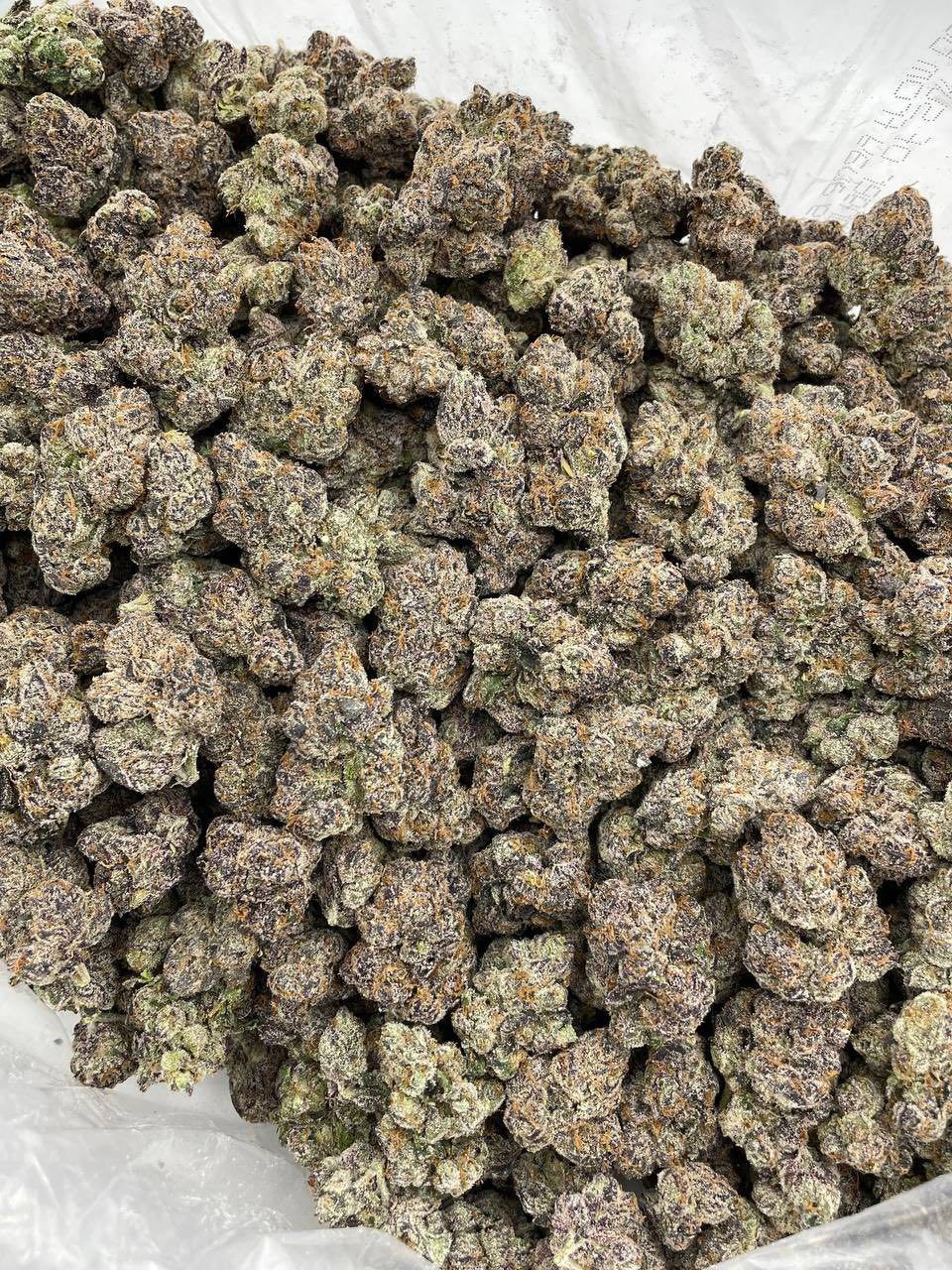 BLACK CHERRY SUNSET INDOORS 🍒🌅 view 2