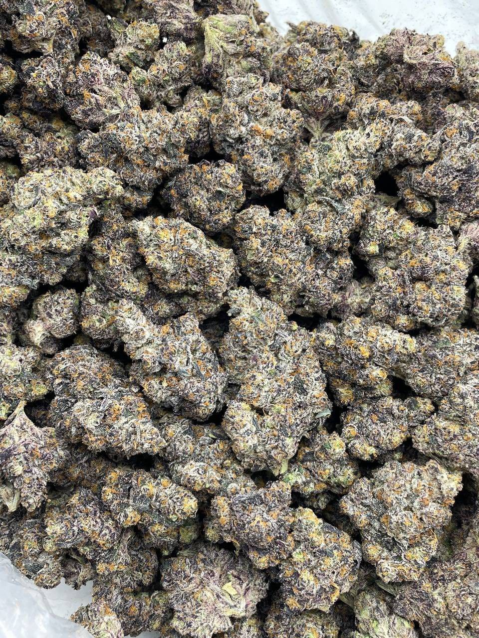 SOUR SHERBET INDOORS 🍭🍋 view 2