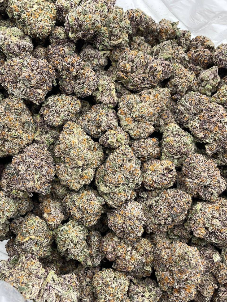BUBBLEGUM ZOURS INDOORS 😝🔥 view 2