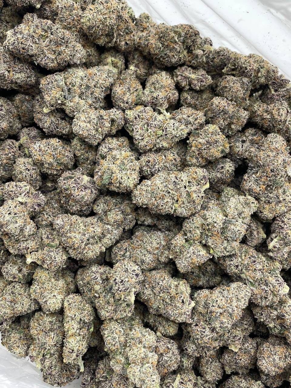 CANDY CURELATO INDOORS 🍭❄️ view 2