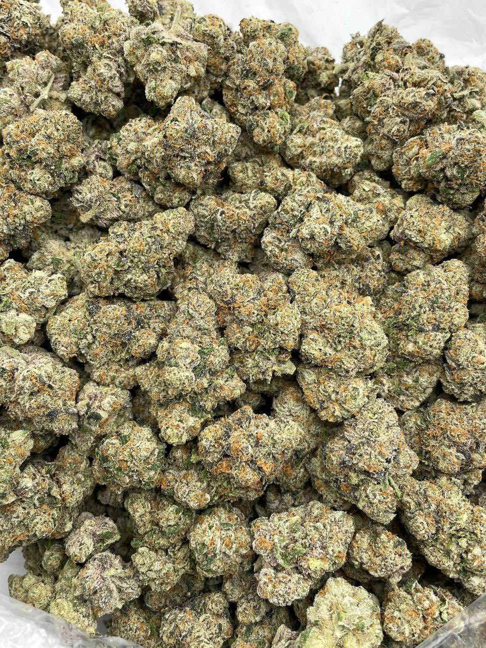RAINBOW GEORGIA PIE INDOORS 🌈🥧 📦$800 P view 2