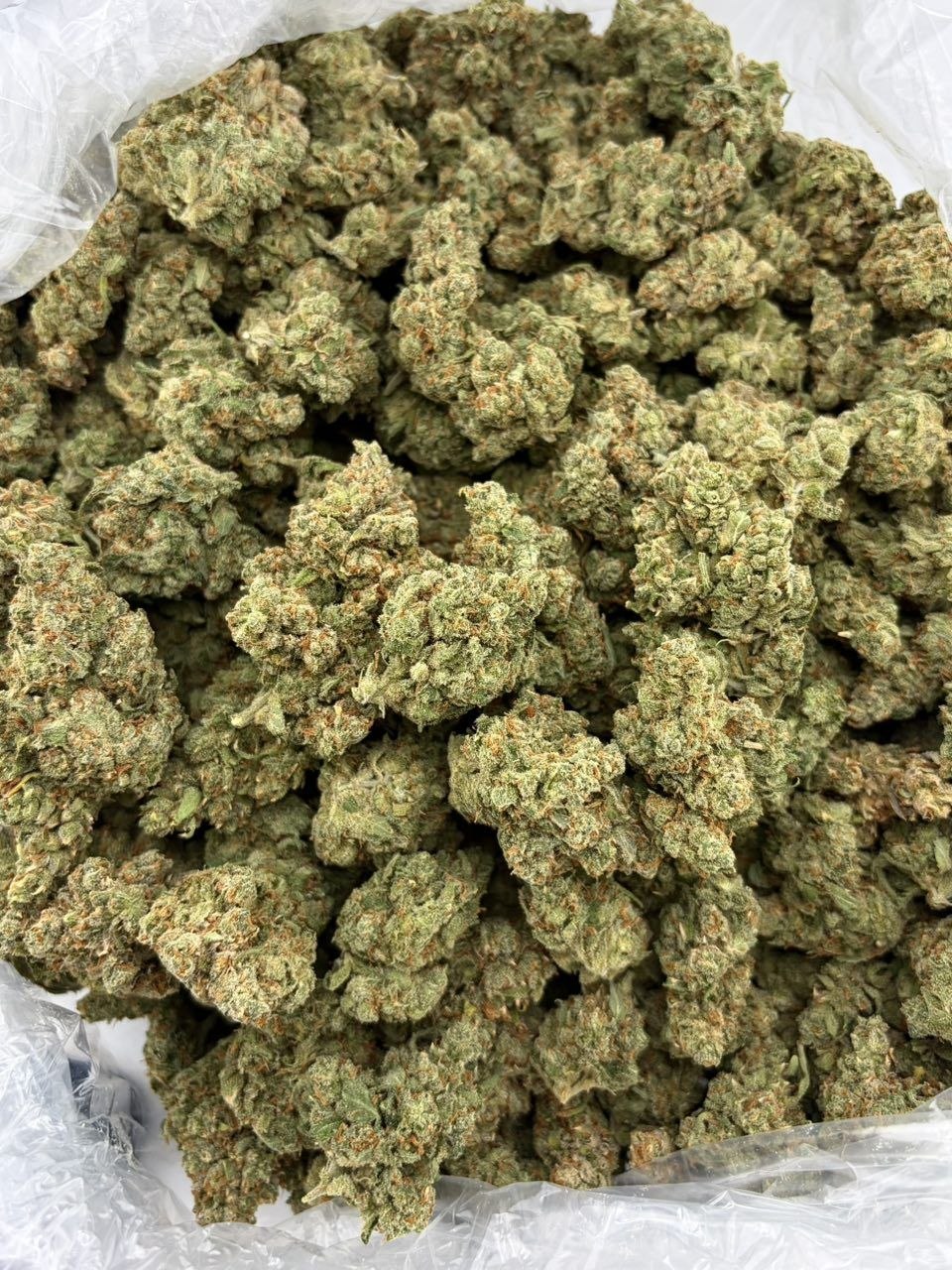 CANDY JACK INDOORS 🍭🍊 view 2