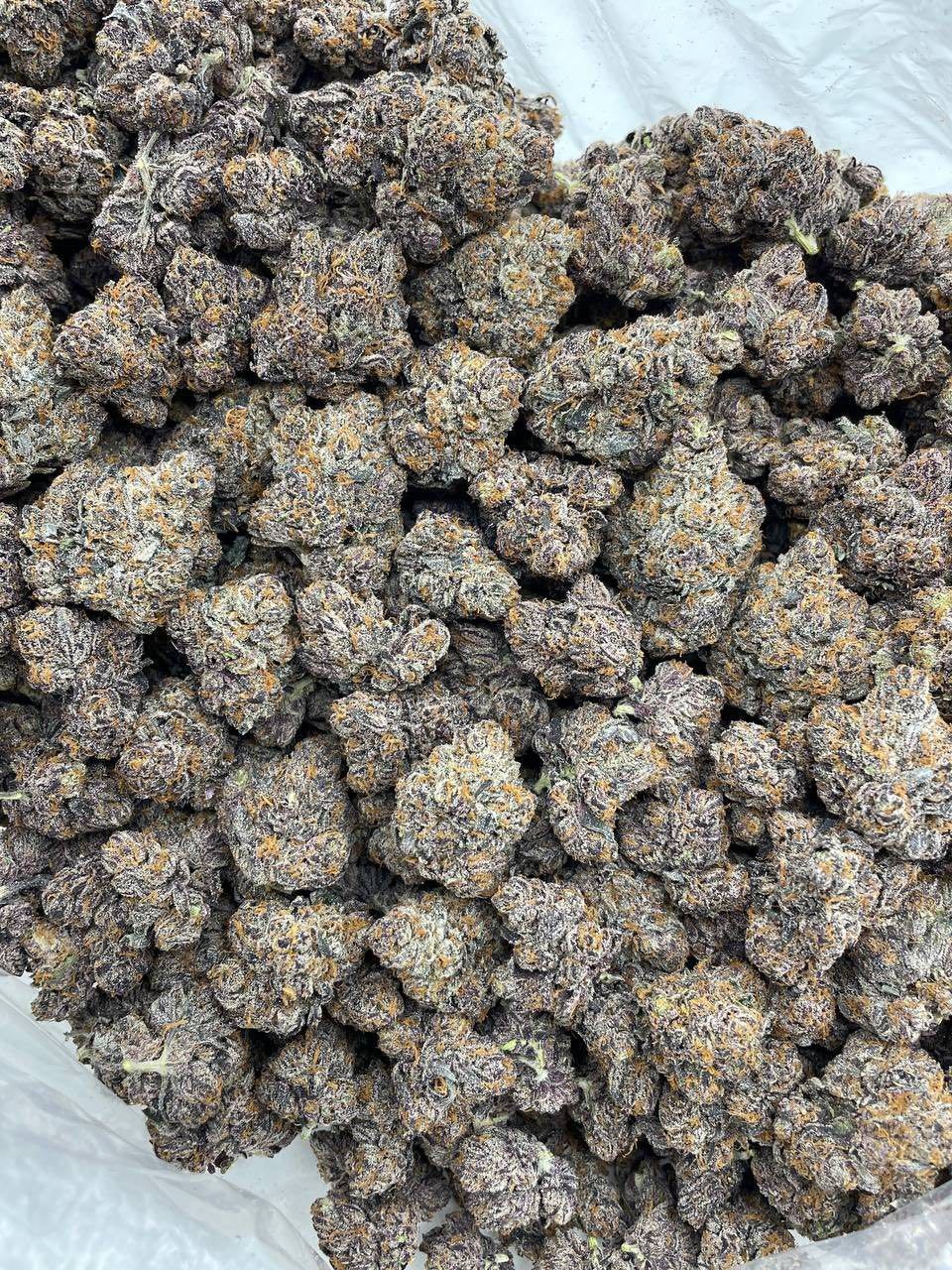 BUBBLEGUM SMARTIES INDOORS 🫧🍬  view 2
